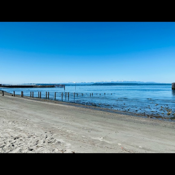 Meet your Posher, Aubrey - Picture 1 of 1